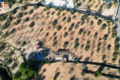 DJI_0487