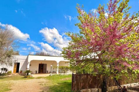 Property Image 54