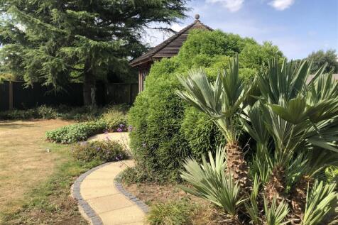 Vendors Own Summer Picture