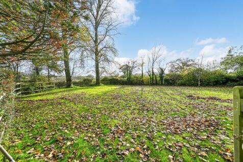 Rear Paddock