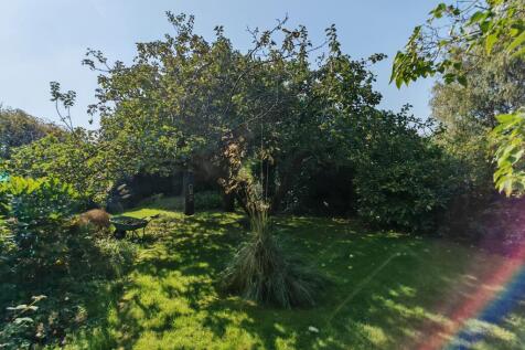 IMG_20240920_115824_edit_22519008754534