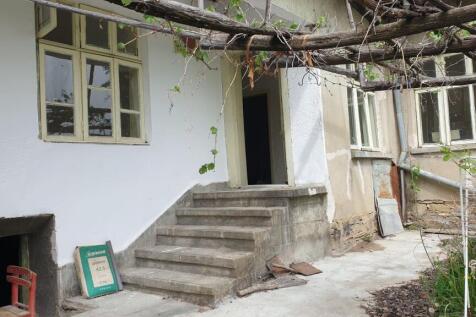 Concrete steps provide access to the house with windows and grapevine trellis visible.