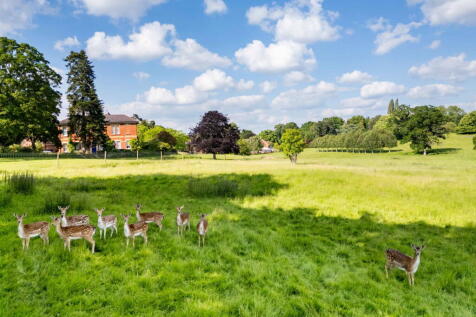 Property Image 63