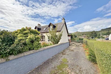 Wellingtonia driveway