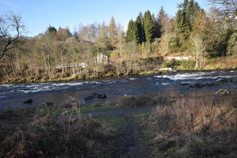 IMG_11524_31_larg...