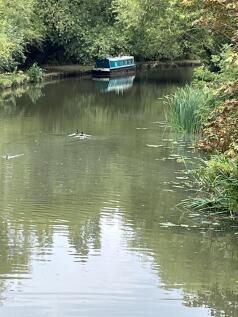 WhatsApp Image 2023-11-11 at 15.48.45.jpeg