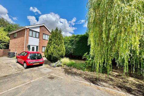 Front Garden &amp; Willow Tree