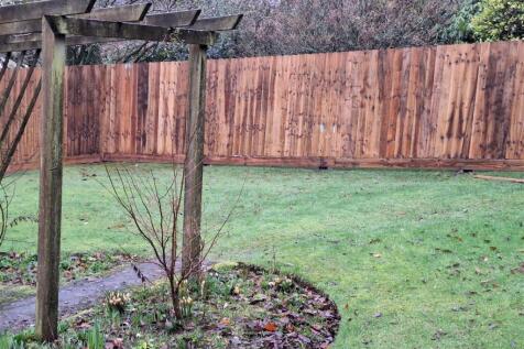 Garden.jpg