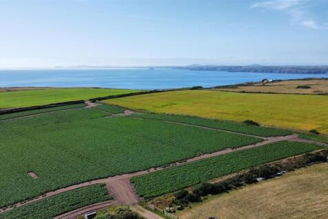 dji_fly_20250709_154154_331_1752073120699_photo_op