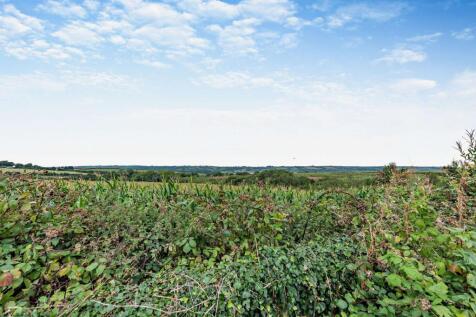 View from back garden