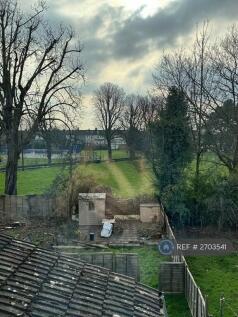 Garden Over Looking The Park 