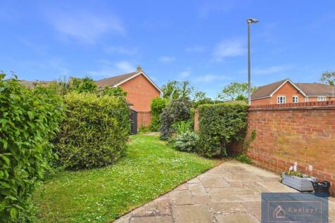 Back garden