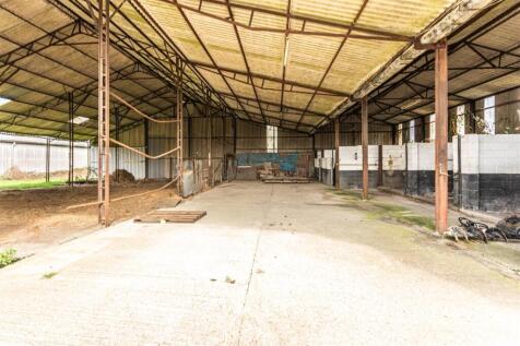 Barn Ripe-13.jpg