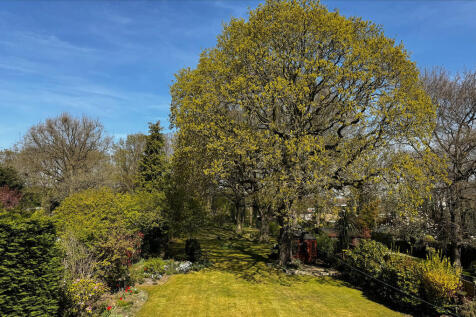 processed-93B46FF...