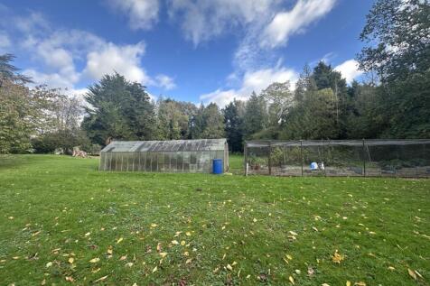 IMG 1744 T202510281537.jpg