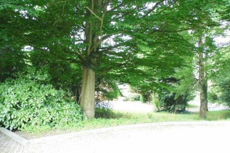 Wooded Area to Front