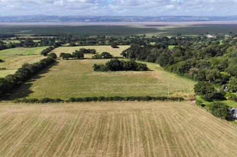 dji_fly_20240814_100748_0658_1723630750476_photo.j