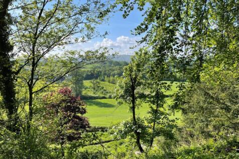 View from Top of Woodland
