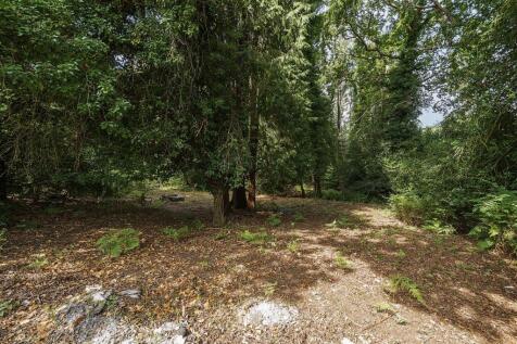 1317437-4-6867a064d5dfe (2).JPG