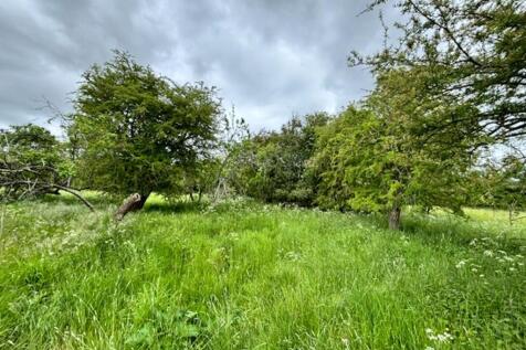 P26-0987_Allimore Lane (1)(1.0).jpg