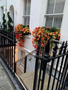 front.flowers.jpg