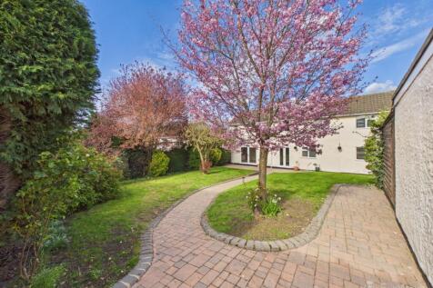 Garden- Mark Stephens EweMove Newmarket and Soham