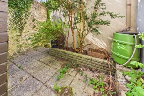 27 Swan Street - garden.png