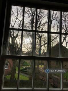 View From Bedroom Window