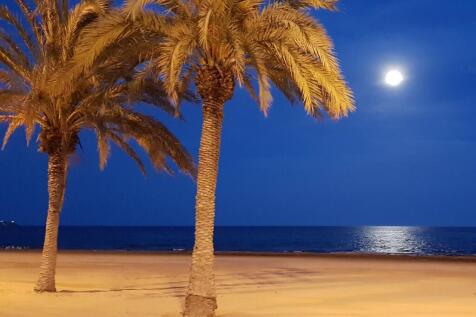 Alicante Beach 