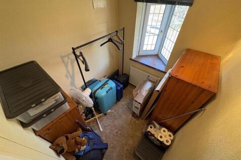 IMG_0787 (Large).jpeg