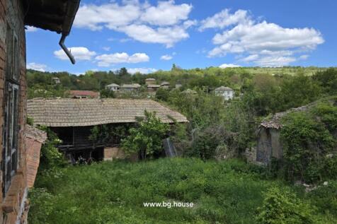 Overgrown garden area with old barns and village houses visible in the distance under a blue sky with clouds.