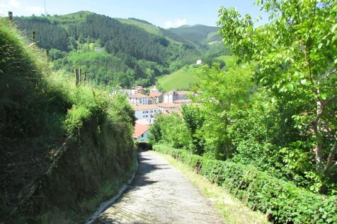 Property Image 31