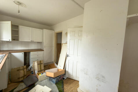 IMG 7434 T202511081225.jpg