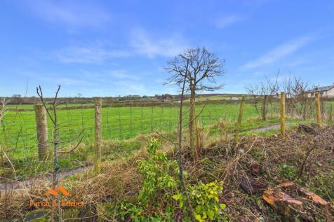 CAM03956G0-PR0217-STILL026.jpg