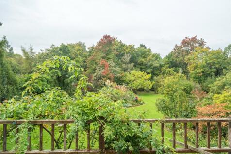 Picture No. 11