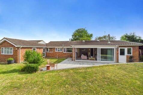 2. CAM04922G0-PR0058-STILL036