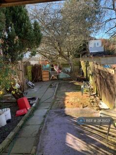 Back Garden