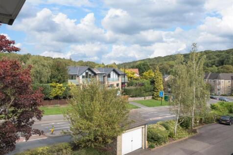 untitled (5 of 15).jpg