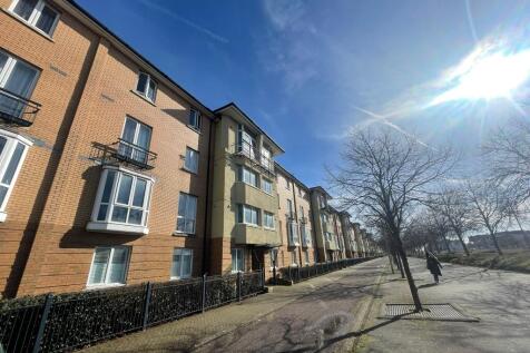 IMG 3757 T202603040952.jpeg