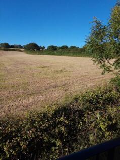terrace view of rear field