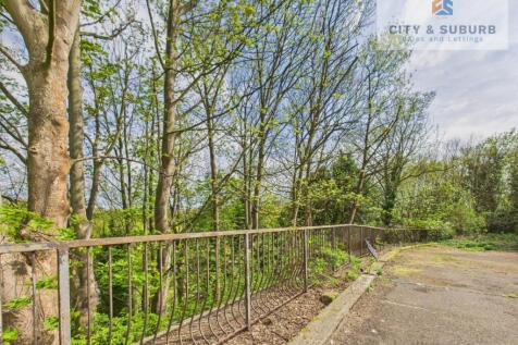 DSC25(s) Marketing Images (18)