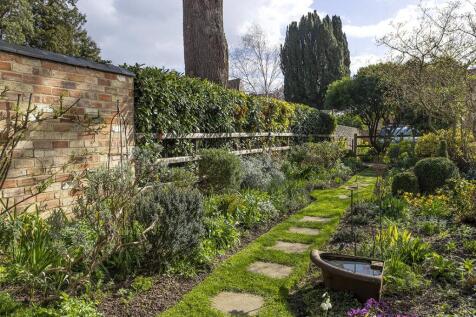 Mature Garden