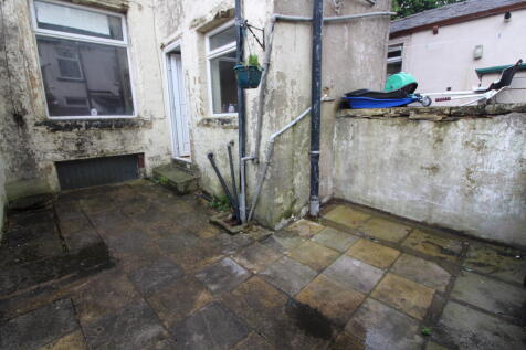 Rear Yard T202606101533.jpg