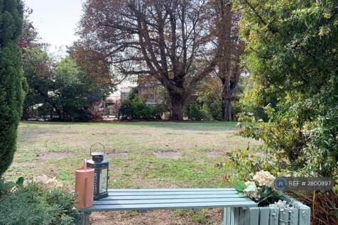 Communal Garden (From Patio)