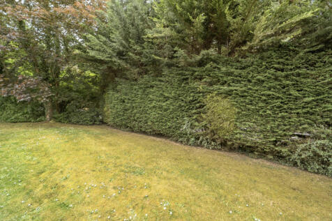 1458625-14-6a0355...