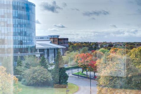 Copy of DSC_0322_3_4_5.jpg