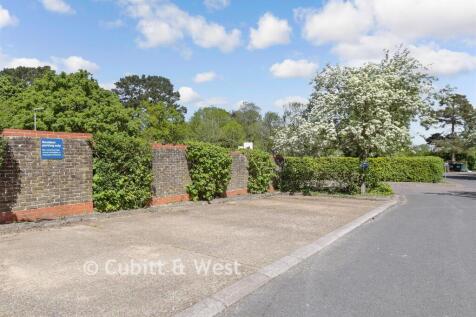 Driveway/Parking