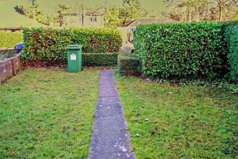 DSC03712_1.jpeg