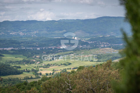 Panorama e Particolari