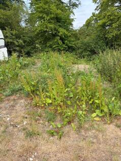 Newdigate Road, RH12 photo 4